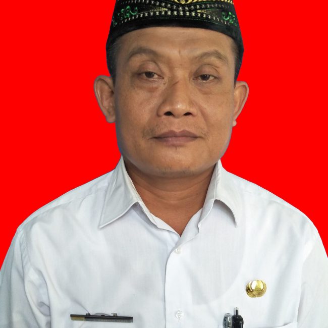 Drs. SAMSUL HADI